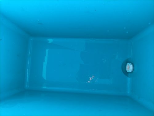 釣れないことだってあるさ