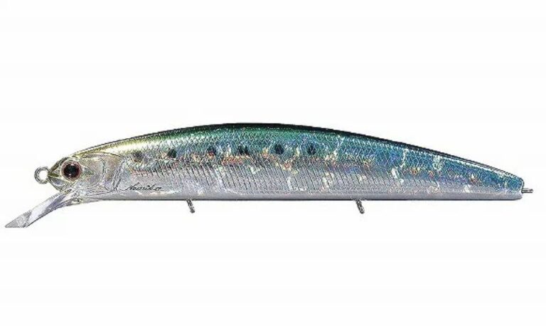 【2025年2月】O.S.P ヴァルナ110 SP SW / S｜バチシーバスからデイゲー...