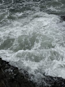 三浦半島青物調査 濁り抜けず南部全滅